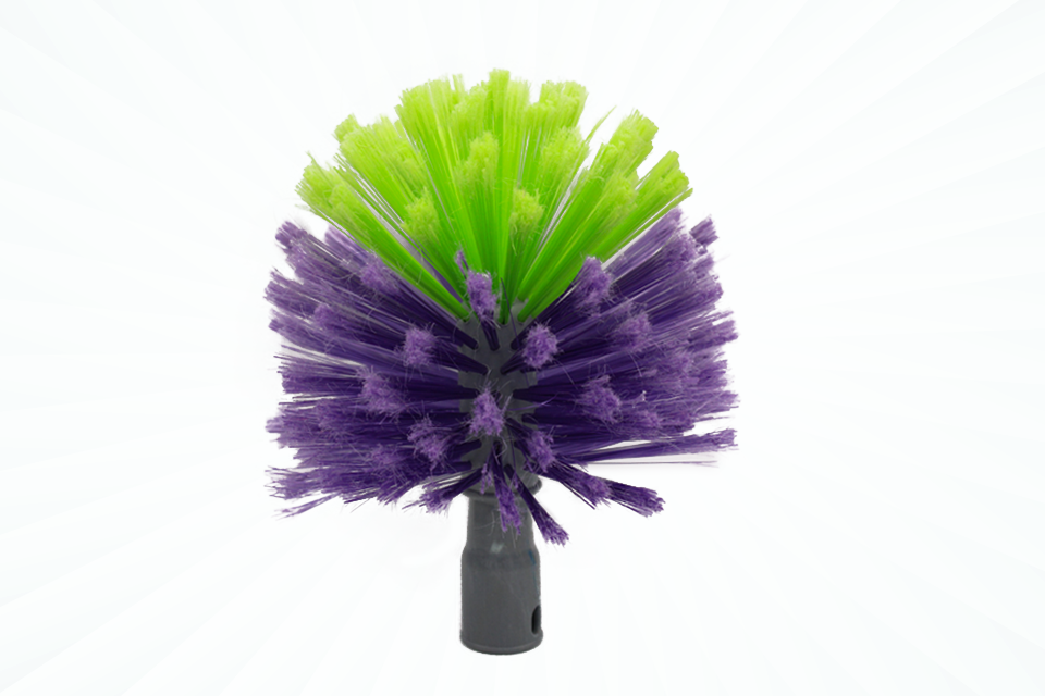 BROSSE TETE DE LOUP PARDOSA