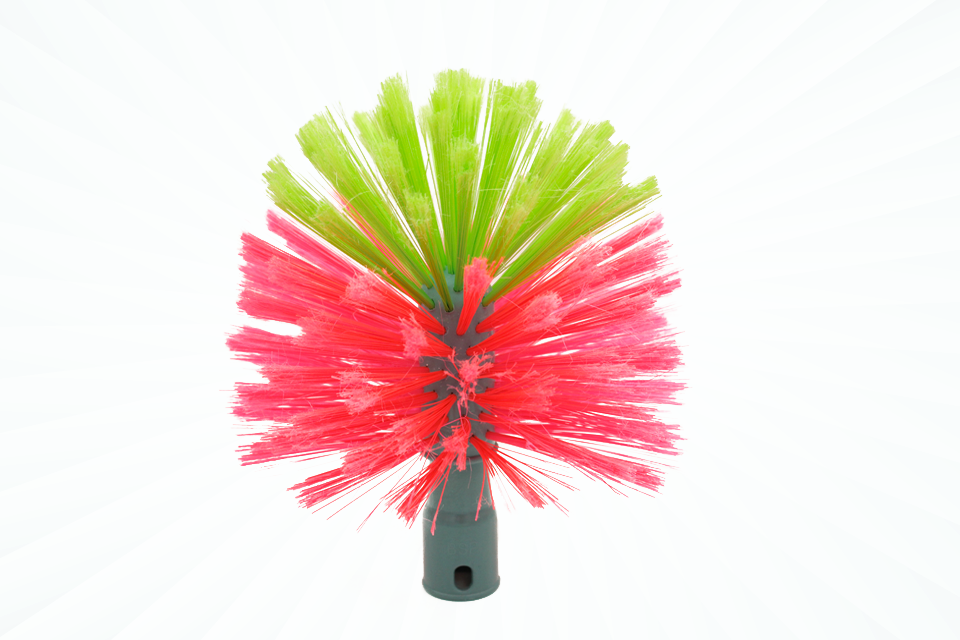 BROSSE TETE DE LOUP PARDOSA